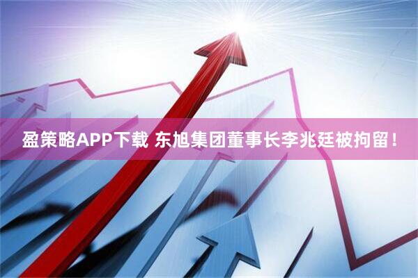 盈策略APP下载 东旭集团董事长李兆廷被拘留！